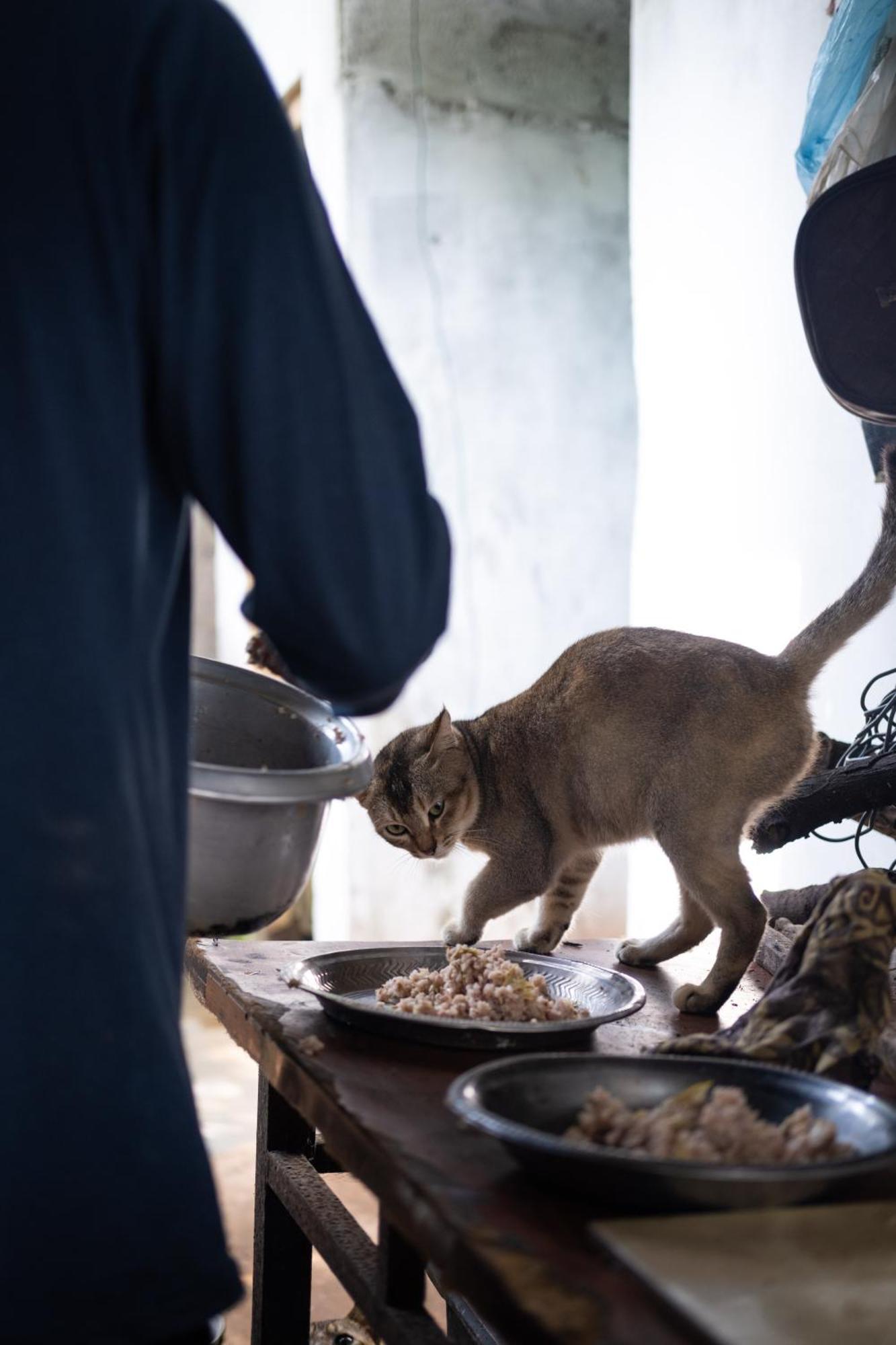 Alass Ga For Pets Lovers Trincomalee Bagian luar foto