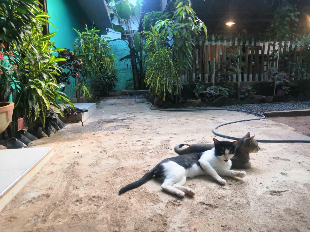 Alass Ga For Pets Lovers Trincomalee Bagian luar foto